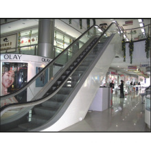 Aksen Escalator 30 and 35 Degree Indoor & Outer Door Type